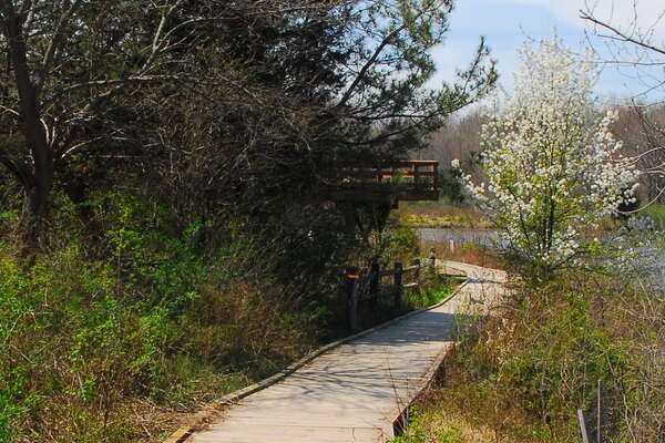Trails in Lord Stirling Park