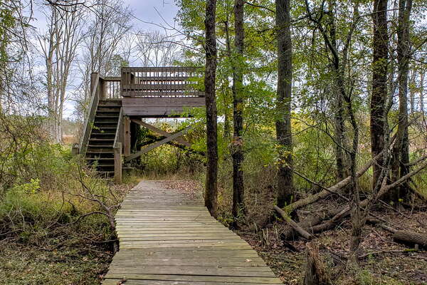 Fall HIking in Lord Sitrling Park