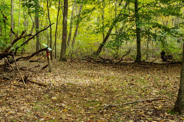 Fall HIking in Lord Sitrling Park