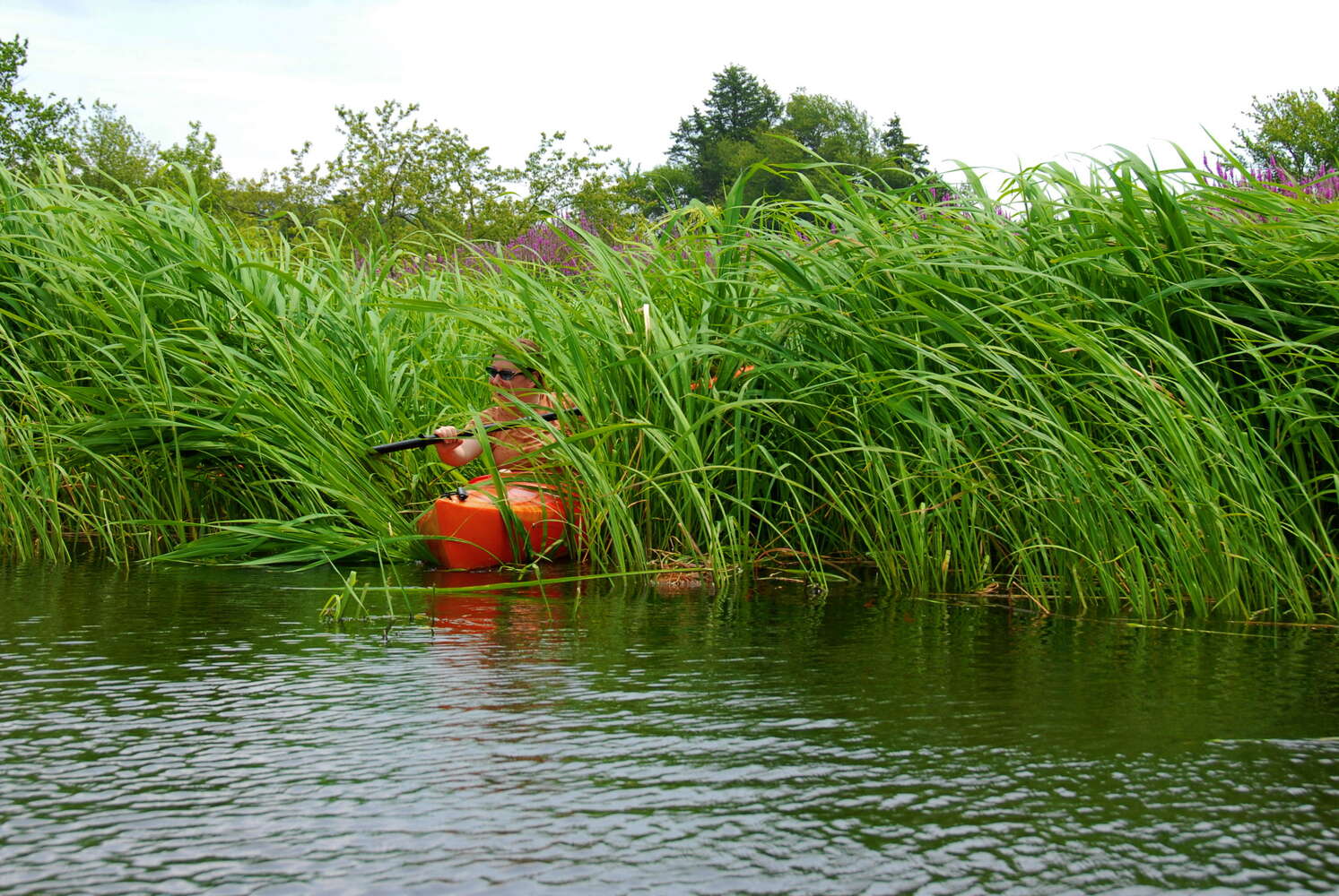 Photos Of Pond General Get Outside, New Jersey! (v5.1.0)