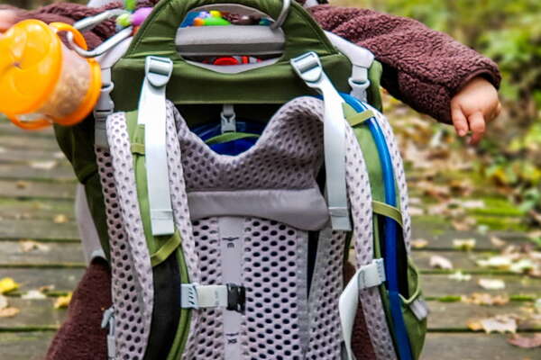 Fall HIking in Lord Sitrling Park