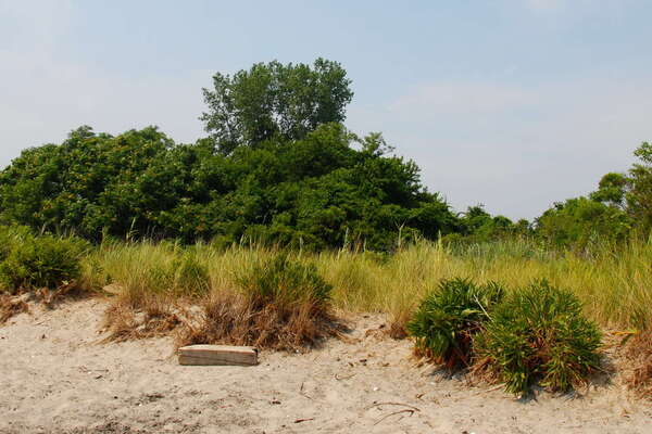 Fishermans Cove, Manasquan