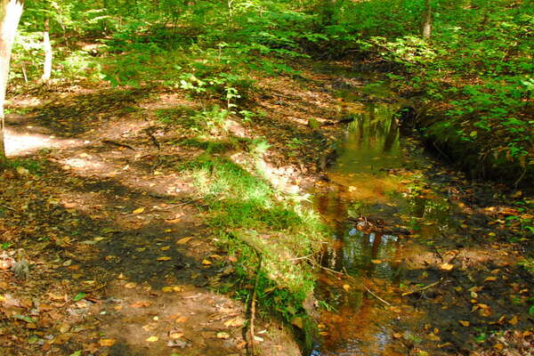 Thompson Park Trails