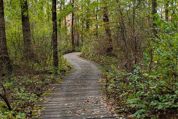 Fall HIking in Lord Sitrling Park