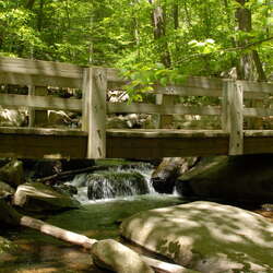 Hacklebarney State Park