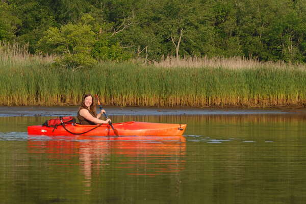 Manasquan River Wildlife Management Area