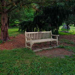 David C. Shaw Arboretum