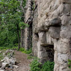 A hike at Ramapo Mountain State Forest - 07/27/2021