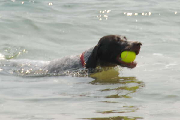 Fishermans Cove, Manasquan