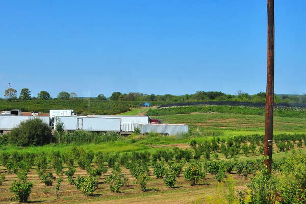 Scenic ride on the Black River and Western Railroad