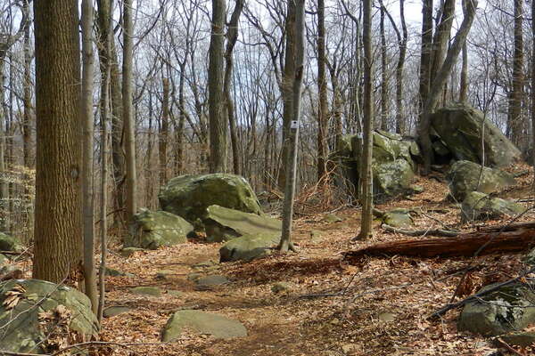 110402-39-hiking-sourland-mountain.jpg