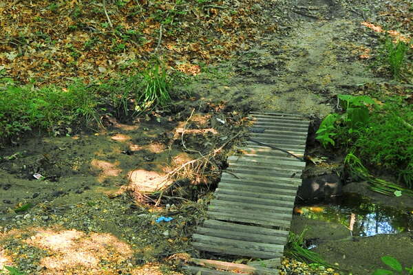 Trails around the group campground