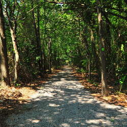 A Summer Walk Through FREC (2015) - 11/03/2015