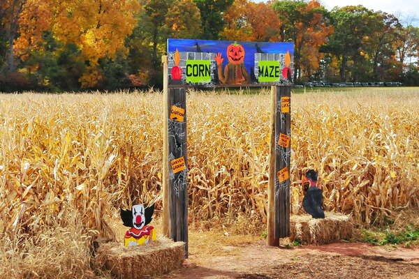 Snyders Farm Fall Festival - 2015