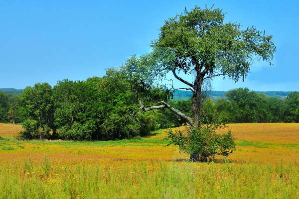 Scenic ride on the Black River and Western Railroad