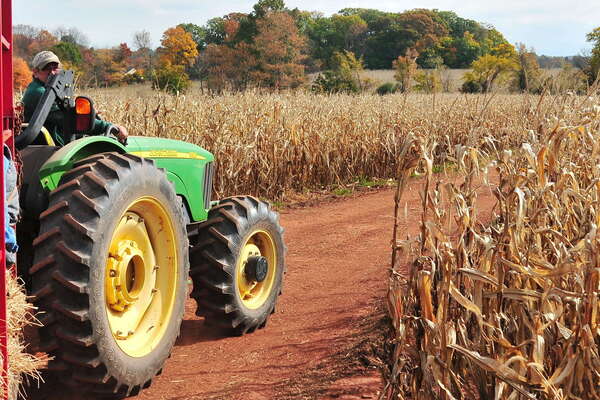 Snyders Farm Fall Festival - 2015