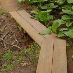 Photos of: Shark River Park (2008) - 03/25/2012