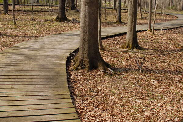 Trails in Lord Stirling Park