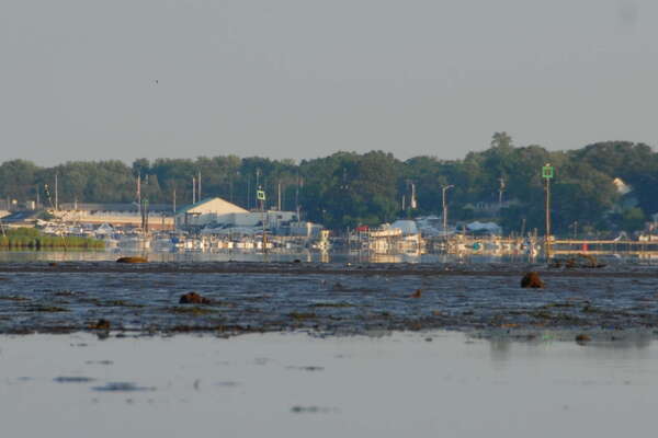 Manasquan River Wildlife Management Area