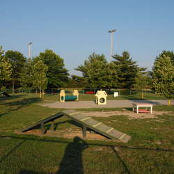 Dog Area at Hamilton Veterans Park - 10/31/2015