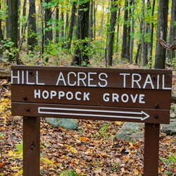 Photos Of: Voorhees State Park (fall, 2006) - 02/15/2014