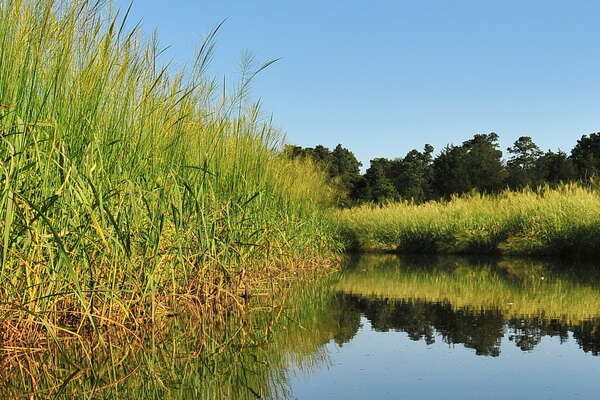 Downstream on the Metedeconk - 7
