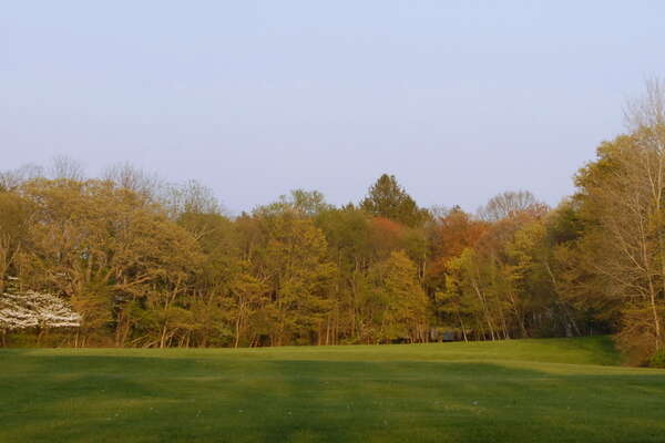 Nice open field off the Gully Road parking lot