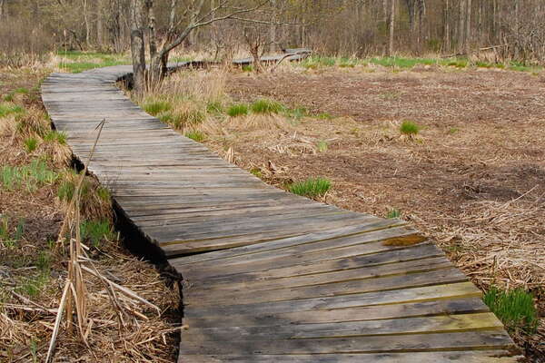 Trails in Lord Stirling Park