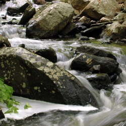 Kymer's Camping Resort