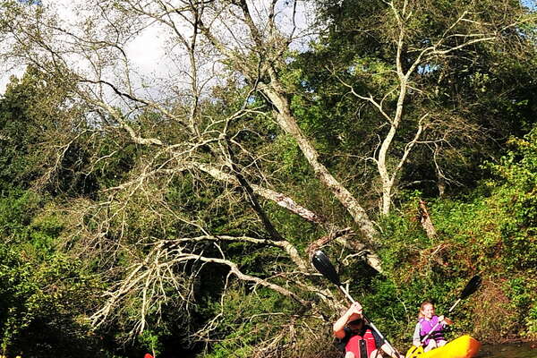 Paddling the Metedeconk